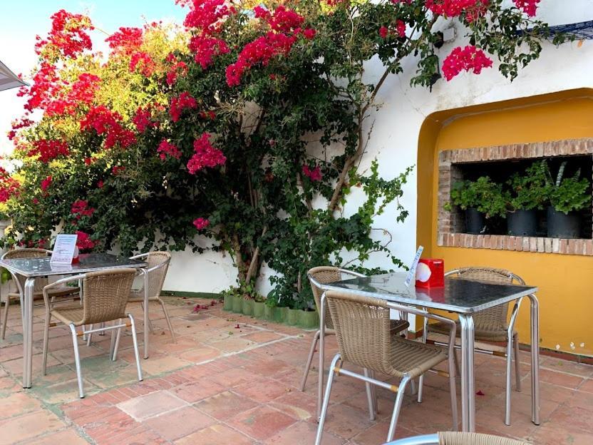 Hostal Los Arcos Вехер де ла Фронтера Екстериор снимка